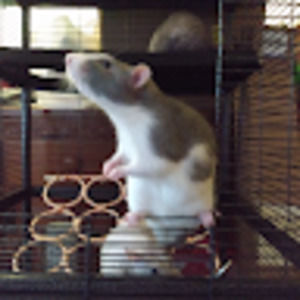 Meet your Posher, Winna